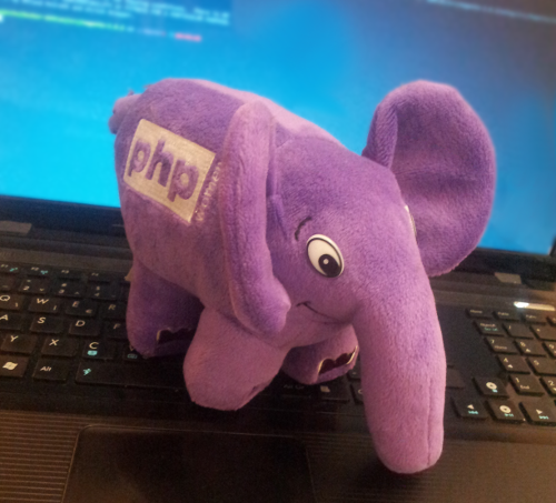 PHP 女子大象